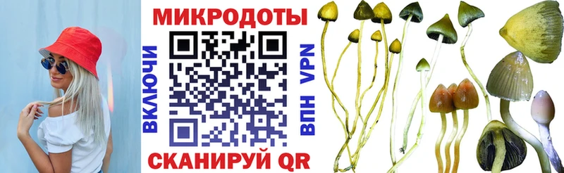 МЕГА ссылки  купить закладку  Тосно  Псилоцибиновые грибы GOLDEN TEACHER 